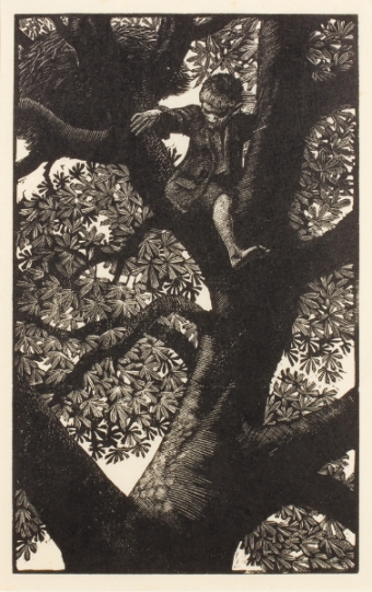 tunnicliffe-88050