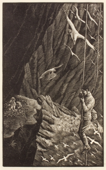 tunnicliffe-88051