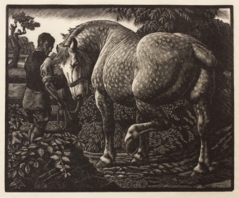 tunnicliffe-88054
