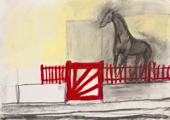 d-racehorse-rearing-in-college-rd
