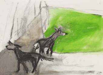 o-lost-dog-on-hampstead-heath