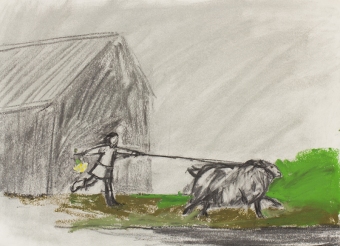 x-what-has-happened-to-my-lamb