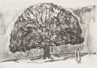 9-oak-in-autumn-on-hampstead-heath