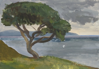 8-wind-blasted-sycamore-with-a-gannet-at-murlough-bay
