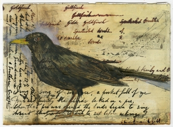 Blackbird