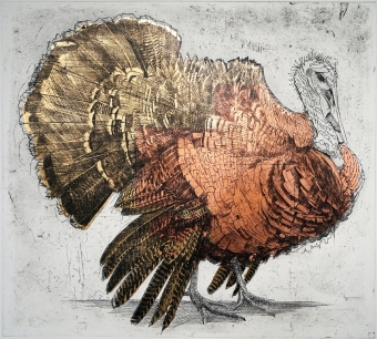 Bronze-Turkey