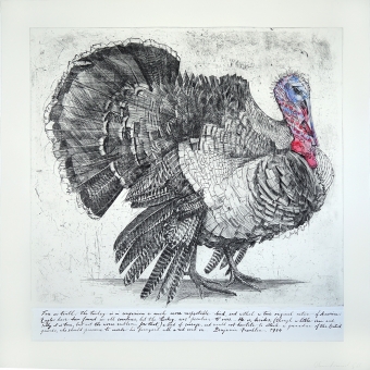 Franklin's-Turkey