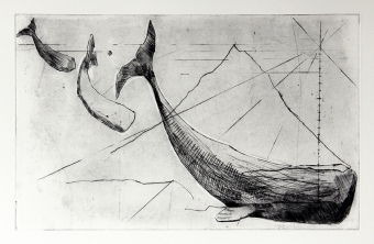 How-the-Whale-Became-i