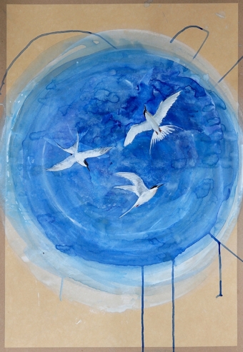 Terns