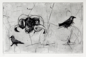 Tup-&-Jackdaws