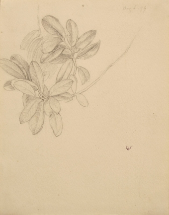 2-poynter-81008-77