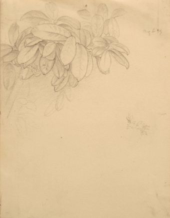 3-poynter-81008-76