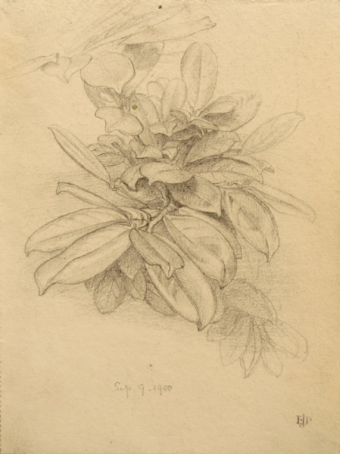4-poynter-81008-80
