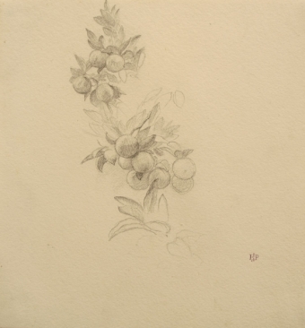 5-poynter-81008-72