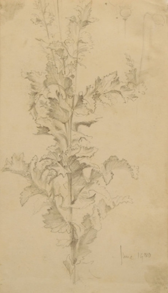 7-poynter-81008-78