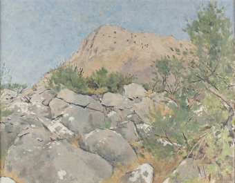 Scott-K07124