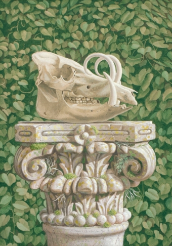 15-skullofbarbiroussa
