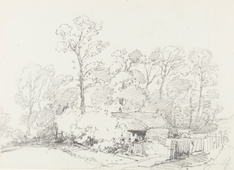 Burgess-40109